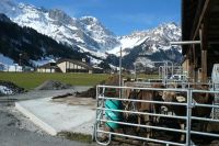 engelberg-020